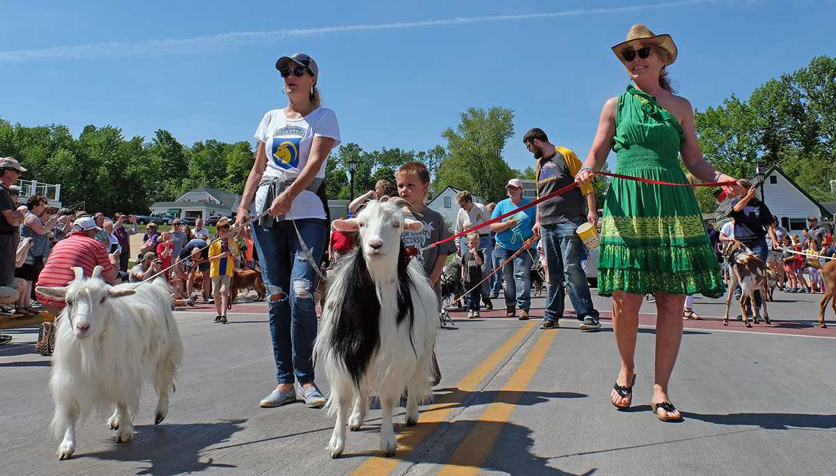 Al Johnson's Goat Parade