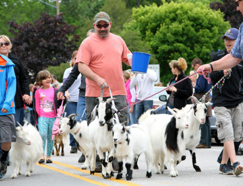 Annual “Roofing of the Goats Parade” Returns to Sister Bay on Saturday, June 11, 2022